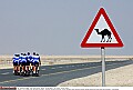 Ronde van Qatar <br />27 & 28 januari 2005<br />Training<br /><br />FOTO: TIM DE WAELE